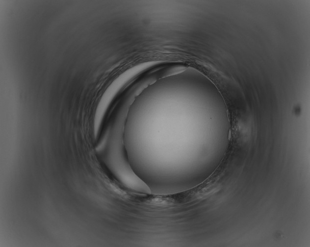 X0000091690566200708231443