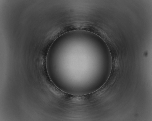 X0000091690567200708231443