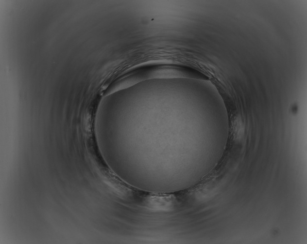 X0000091690571200708231443