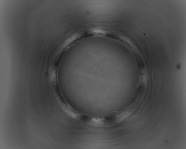 X0000091690573200708231443