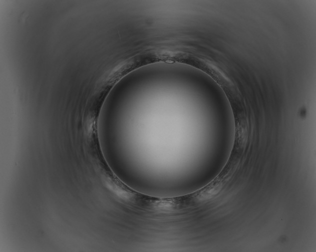 X0000091690574200708231443
