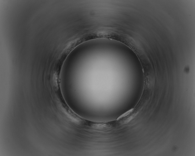 X0000091690575200708231443