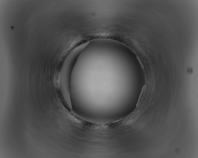 X0000091690576200708231443