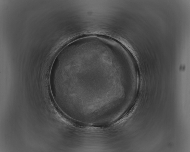 X0000091690577200708231442