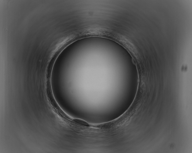 X0000091690578200708231442