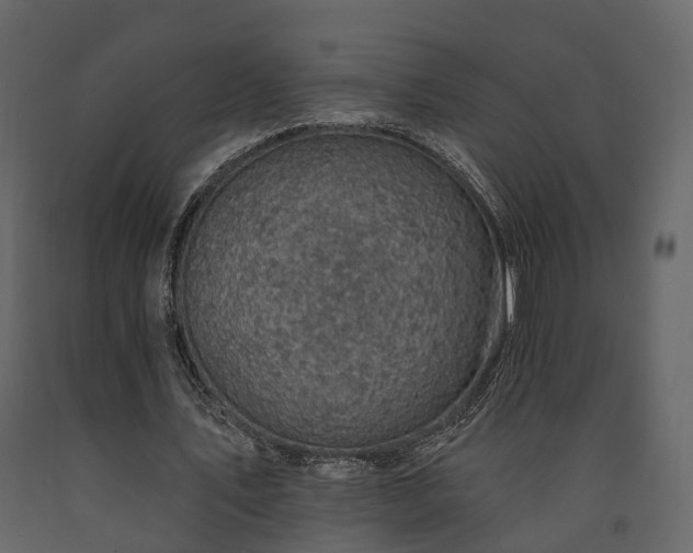 X0000091690579200708231442