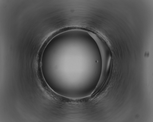 X0000091690580200708231442