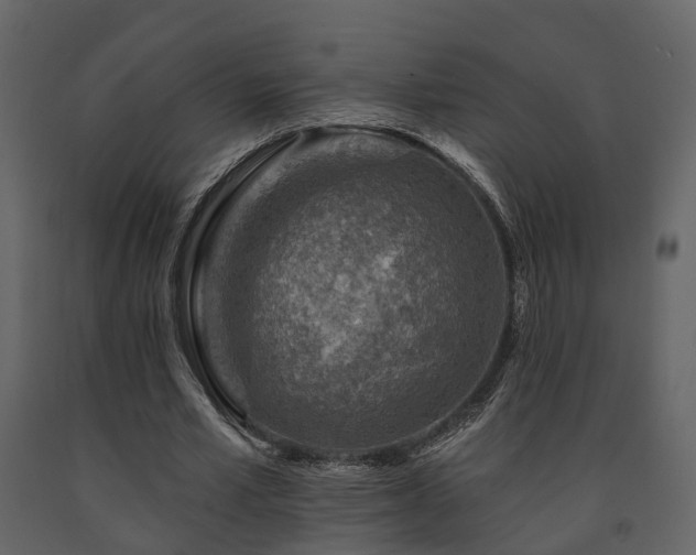 X0000091690581200708231442
