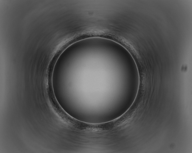 X0000091690582200708231442