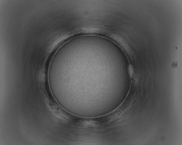 X0000091690583200708231442