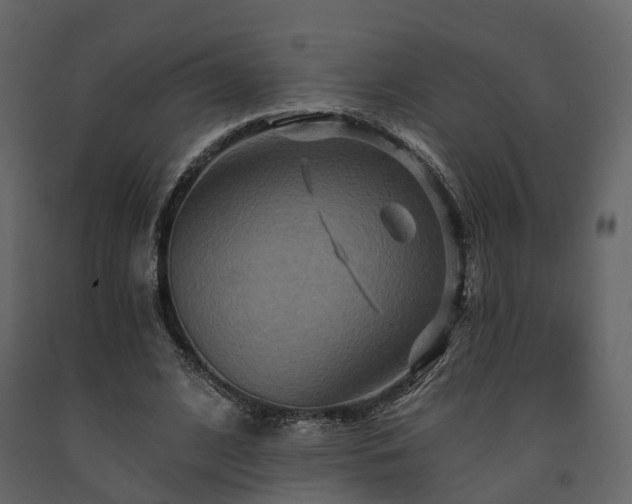 X0000091690584200708231442