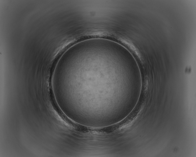 X0000091690585200708231442