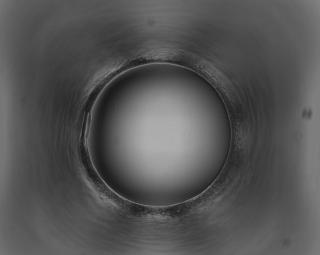 X0000091690586200708231442