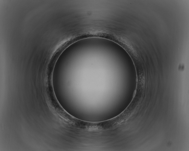 X0000091690587200708231442
