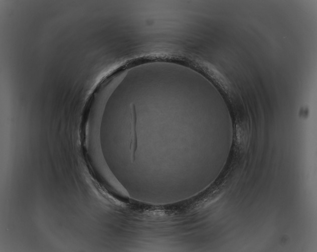 X0000091690588200708231442