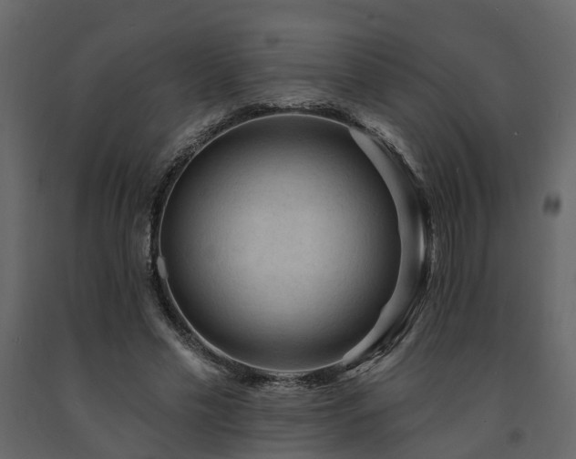 X0000091690589200708231442