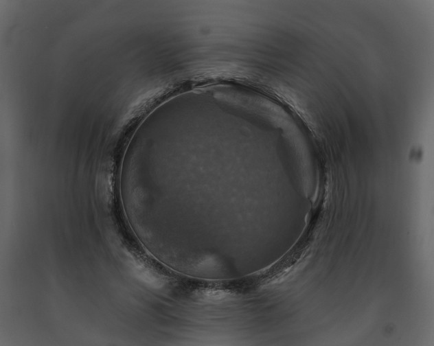 X0000091690590200708231442