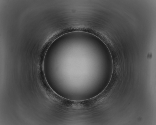 X0000091690591200708231442