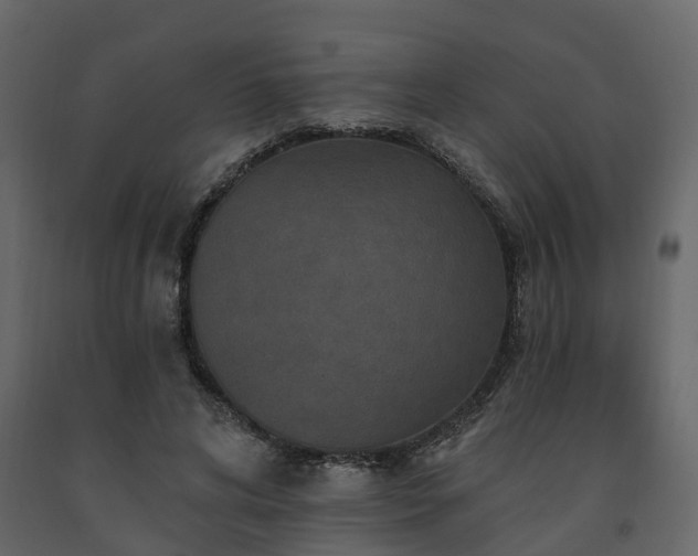 X0000091690592200708231442