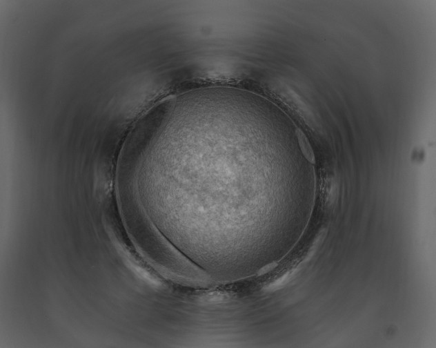 X0000091690593200708231442