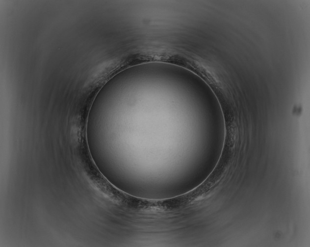 X0000091690594200708231442