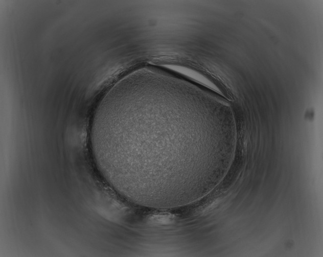 X0000091690595200708231442