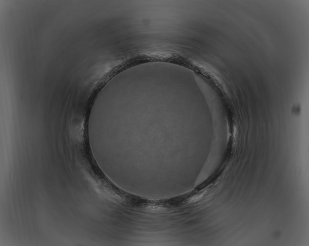 X0000091690596200708231442