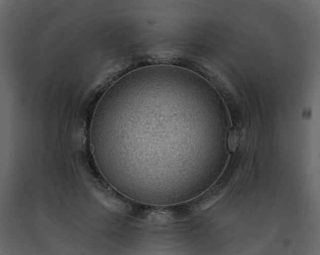 X0000091690599200708231442