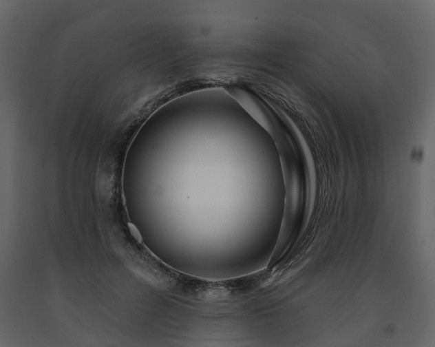 X0000091690600200708231442