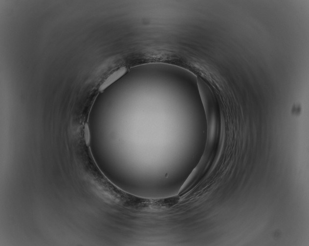 X0000091690601200708231442