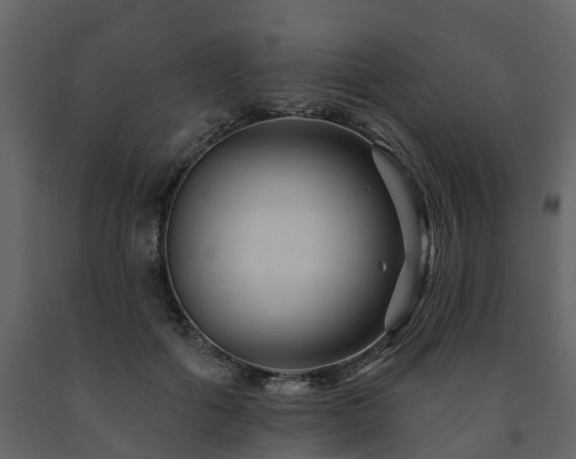 X0000091690602200708231442