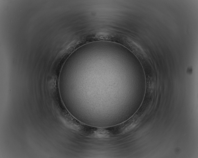 X0000091690603200708231442
