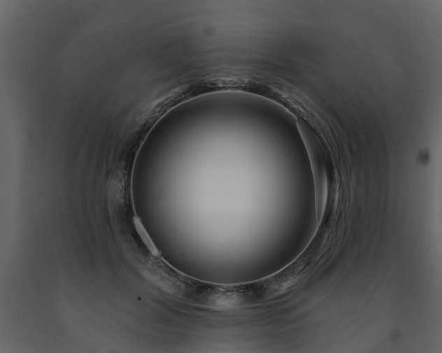 X0000091690604200708231442