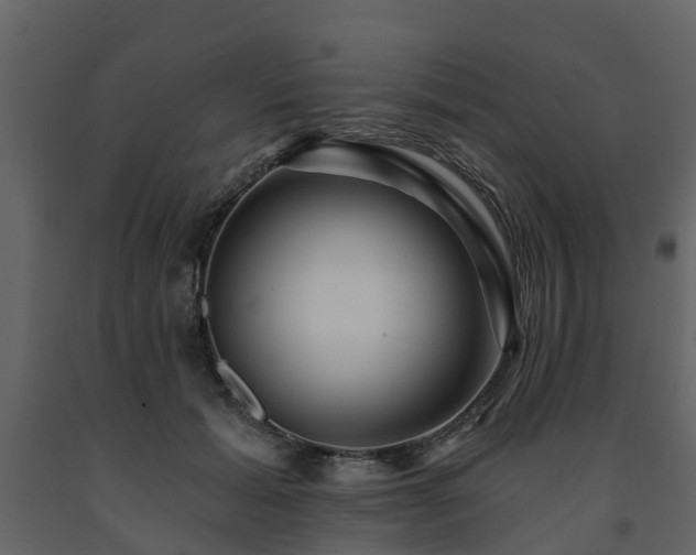 X0000091690605200708231442
