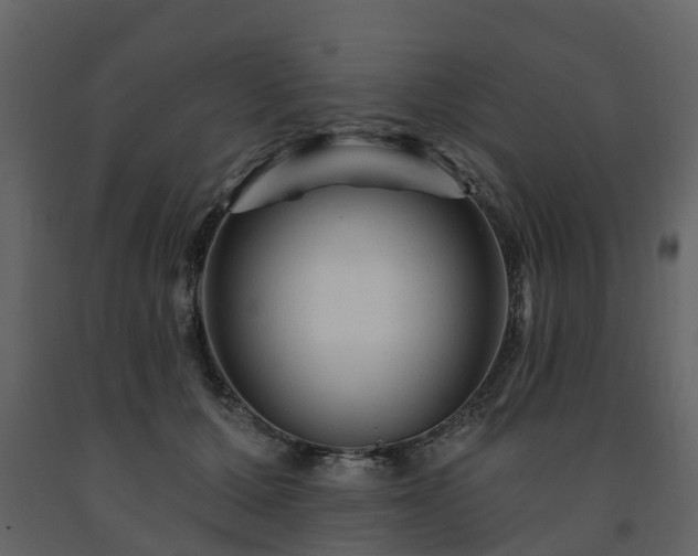 X0000091690607200708231442