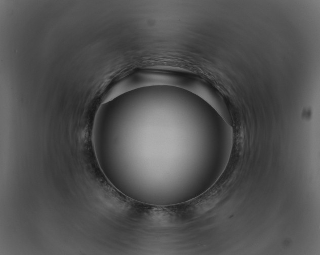 X0000091690608200708231442