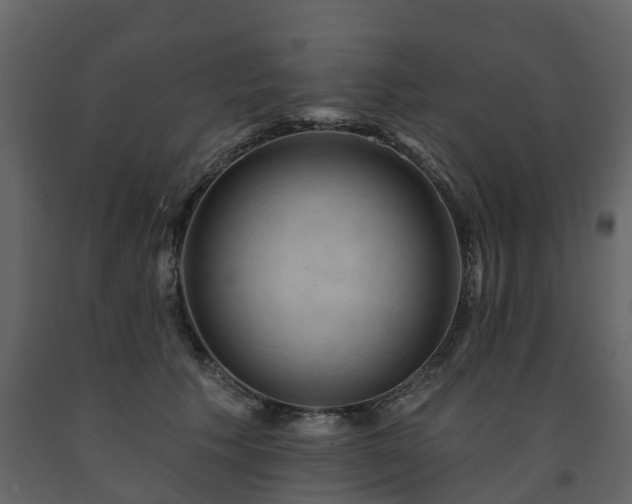 X0000091690609200708231442