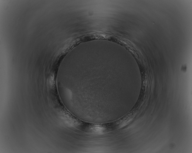 X0000091690610200708231442