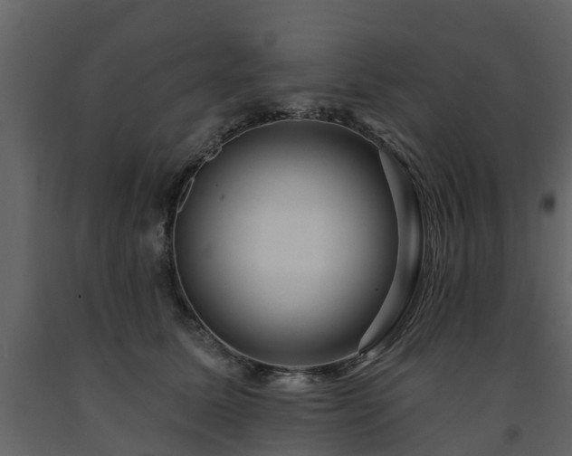 X0000091690611200708231442