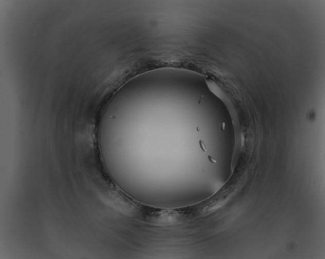 X0000091690612200708231441