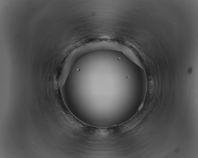 X0000091690613200708231441