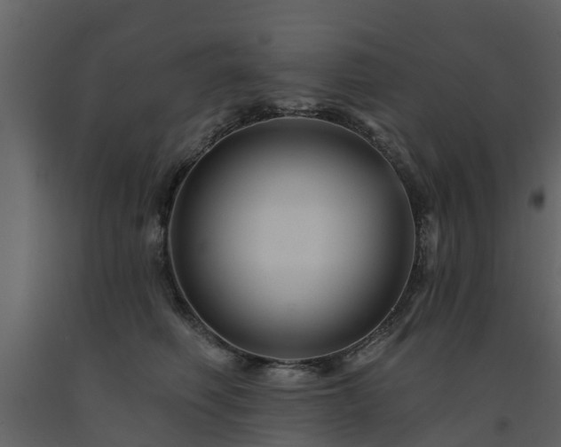X0000091690614200708231441