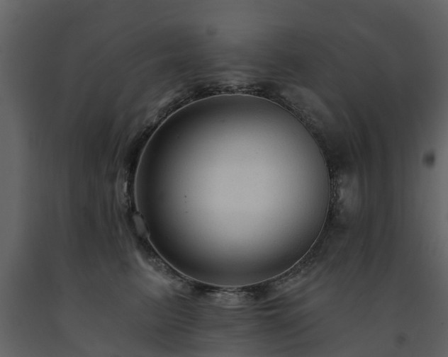 X0000091690615200708231441