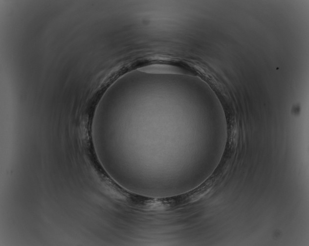 X0000091690616200708231441