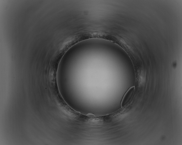 X0000091690619200708231441