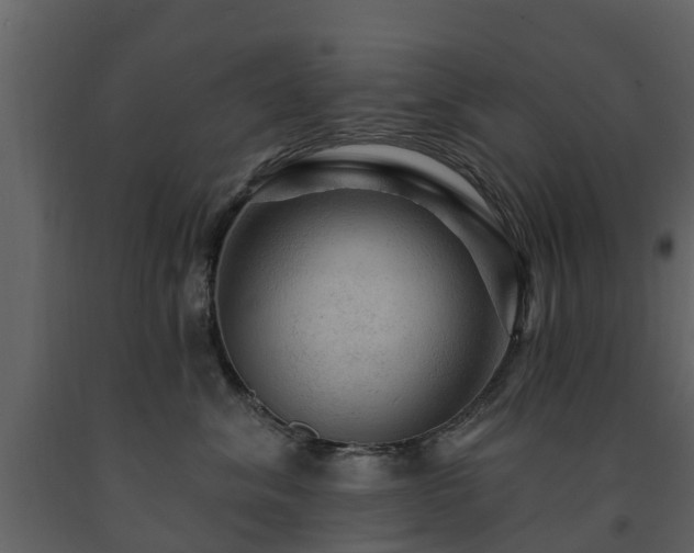 X0000091690620200708231441