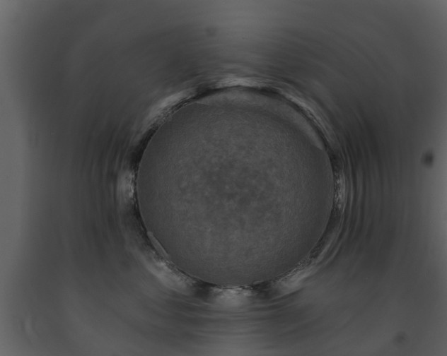 X0000091690621200708231441