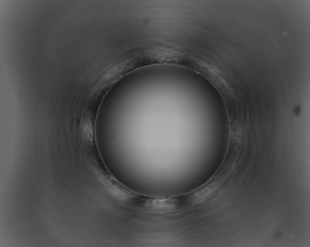 X0000091690622200708231441