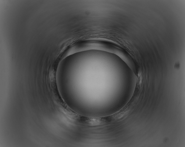 X0000091690623200708231441