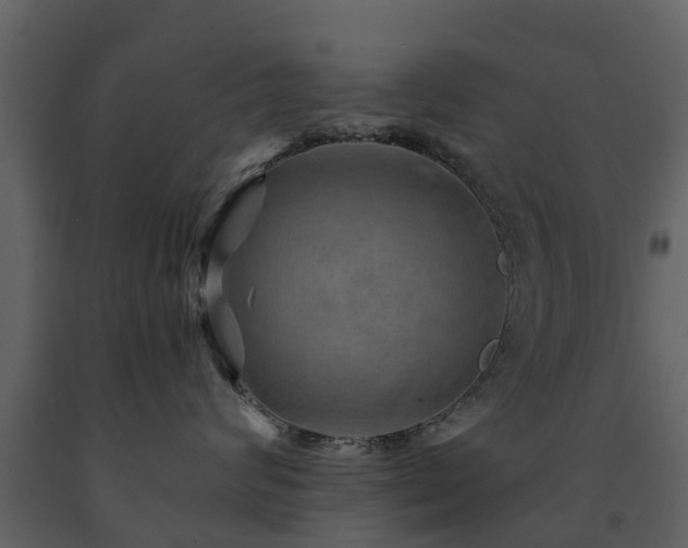 X0000091690624200708231441